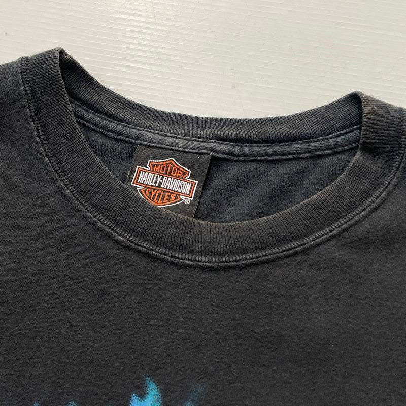 【中古品】【メンズ】 HANES HARLEY DAVIDSON ヘインズ ハーレー ダビッドソン BLUE FIRE LOGO "BACK THUNDER" TEE ブルー ファイヤー ロゴ ブラック サンダー Tシャツ 半袖 トップス 145-260811-sa-10-tei サイズ：XL カラー：ブラック 万代Net店