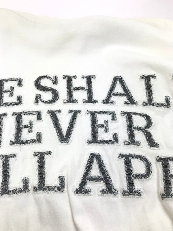 【中古品】【メンズ】 A BATHING APE アベイシングエイプ APE SHALL NEVER KILL APE L/S T-SHIRT エイプ シャル ネバー キル エイプ ロングスリーブ Tシャツ 長袖Tシャツ 初期タグ 三角タグ 142-250616-na-15-tag サイズ：L カラー：ホワイト 万代Net店