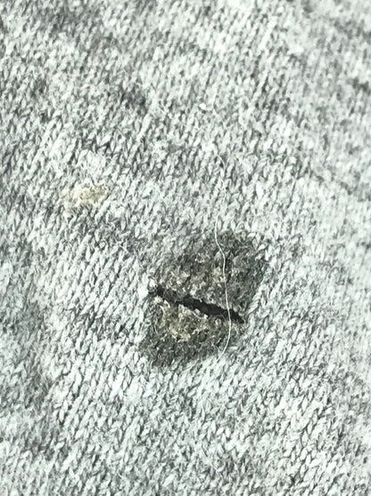 【現状渡し品】【メンズ】 DKNY JEANS ディーケーエヌワイジーンズ VINTAGE LOGO PRINT L/S T-SHIRT ヴィンテージ ロゴ プリント ロングスリーブ Tシャツ 長袖 トップス 146-250904-yy-03-tag カラー：グレー 万代Net店