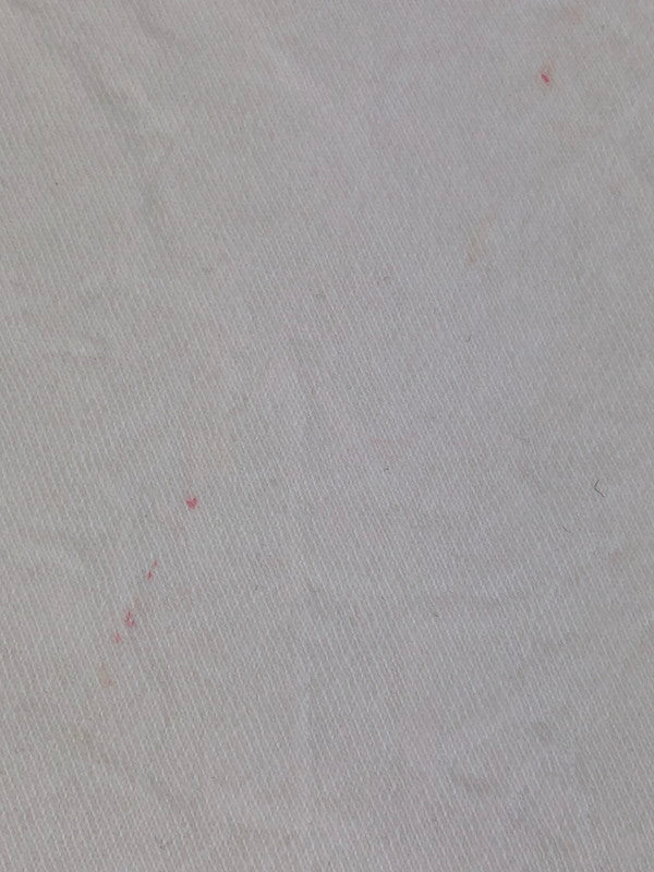 【現状渡し品】【メンズ】 Wrangler ラングラー USA製 BRUSH POPPER S/S TEE アメリカ製 ブラッシュポッパー ショートスリーブ Tシャツ 半袖Tシャツ トップス 146-250930-rt-12-tag サイズ：XXL カラー：ホワイト 万代Net店