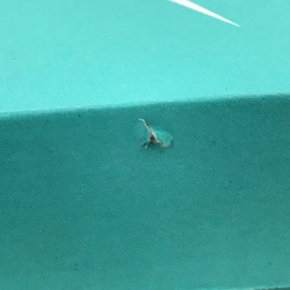 【中古美品】【メンズ】 NIKE ナイキ SB FORCE 58 DV5477-102 エスビー フォース 58 スニーカー 靴 160-251207-rt-06-tag サイズ：27cm US 9 カラー：グレー /ライトブルー 万代Net店