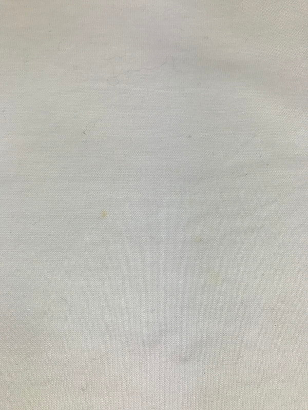 【中古品】【メンズ】 is-ness イズネス BALLOON RAGLAN LONG SLEEVE T SHIRT 25AW_04_1006AWCST01 バルーン ラグラン ロングスリーブ シャツ トップス 140-251221-rt-01-tag サイズ：M カラー：ホワイト/ネイビー 万代Net店
