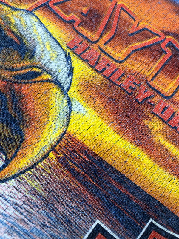 【現状渡し品】【メンズ】 HARLEY DAVIDSON ハーレーダビッドソン 2006 CHEMICAL WASH EAGLE TEE ケミカルウォッシュ イーグル Tシャツ USA製 146-260222-rt-05-tag サイズ：L カラー：ブルー 万代Net店