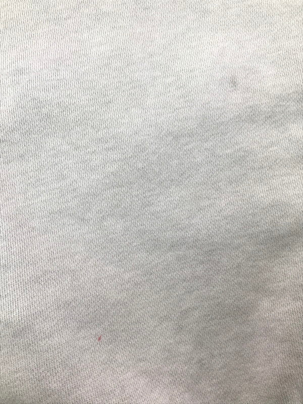 【中古品】【メンズ】 OLD STUSSY オールド ステューシー 00's SHAWN FONT LOGO HOODIE ロゴ フーディー パーカー 142-260408-rt-06-tag サイズ：L カラー：グレー 万代Net店
