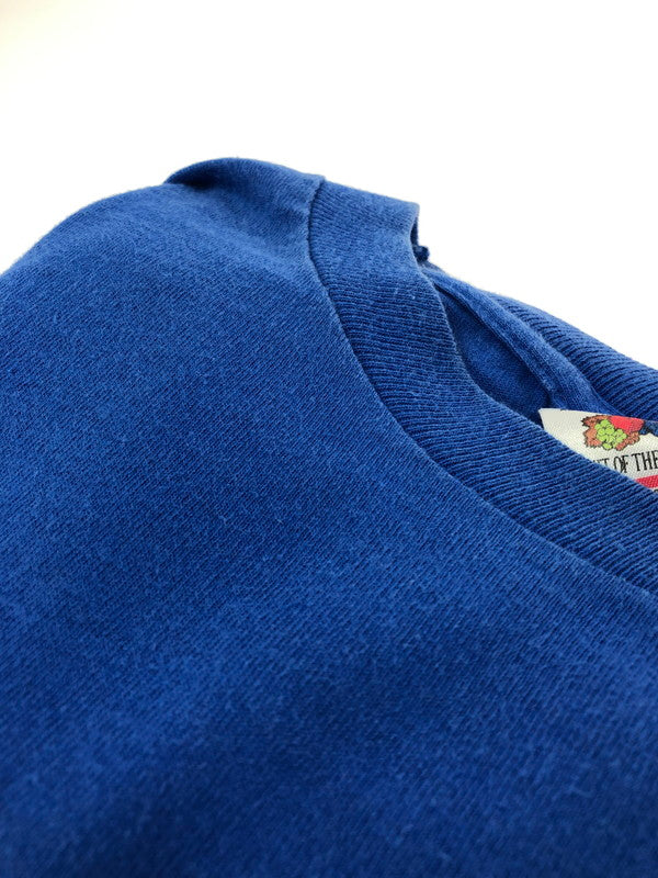 【中古品】【メンズ】 FRUIT OF THE LOOM フルーツオブザルーム 90S USA製 ANOTHER WORLD TEE "BLUE" アナザー ワールド プリントTシャツ "ブルー” 90年代 半袖Tシャツ トップス 146-260514-ki-07-tagh サイズ：XL カラー：ブルー 万代Net店