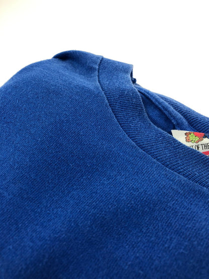 【中古品】【メンズ】 FRUIT OF THE LOOM フルーツオブザルーム 90S USA製 ANOTHER WORLD TEE "BLUE" アナザー ワールド プリントTシャツ "ブルー” 90年代 半袖Tシャツ トップス 146-260514-ki-07-tagh サイズ：XL カラー：ブルー 万代Net店