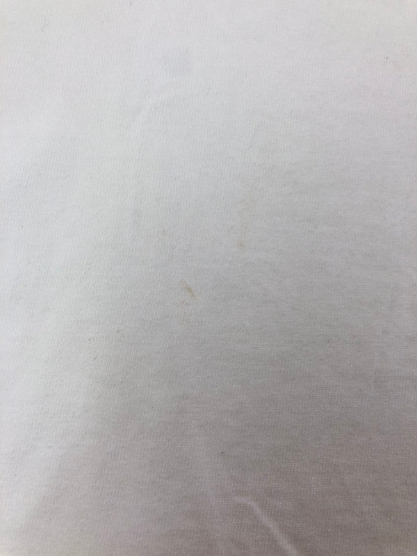 【中古品】【メンズ】 STUSSY ステューシー SKULL WING TEE スカル ウィング Tシャツ USA製 トップス 142-260611-rt-22-tagh サイズ：L カラー：ホワイト 万代Net店