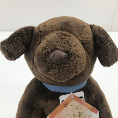 【中古美品】 SHINADA シナダ うちのハル君 柴犬/チョコラブ ぬいぐるみセット 038-260605-YY-02-tag 万代Net店