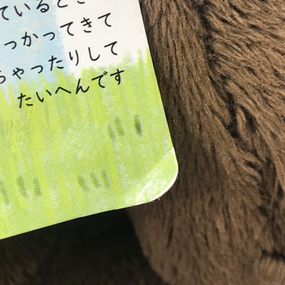 【中古美品】 SHINADA シナダ うちのハル君 柴犬/チョコラブ ぬいぐるみセット 038-260605-YY-02-tag 万代Net店