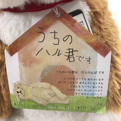 【中古美品】 SHINADA シナダ うちのハル君 柴犬/チョコラブ ぬいぐるみセット 038-260605-YY-02-tag 万代Net店