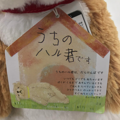 【中古美品】 SHINADA シナダ うちのハル君 柴犬/チョコラブ ぬいぐるみセット 038-260605-YY-02-tag 万代Net店