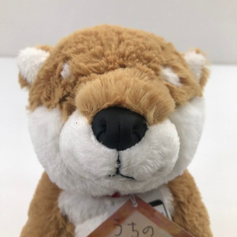 【中古美品】 SHINADA シナダ うちのハル君 柴犬/チョコラブ ぬいぐるみセット 038-260605-YY-02-tag 万代Net店