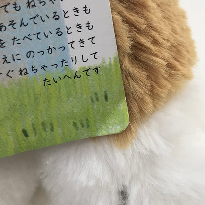 【中古美品】 SHINADA シナダ うちのハル君 柴犬/チョコラブ ぬいぐるみセット 038-260605-YY-02-tag 万代Net店