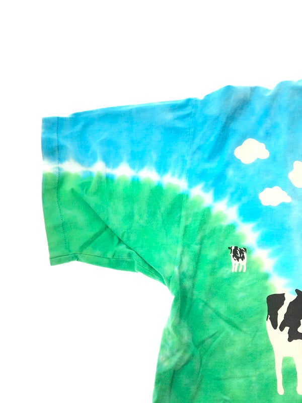 【中古品】【メンズ】 BEN&JERRY’S ベン＆ジェリーズ 90's LIQUID BLUE COMPANY TEE リキッド ブルー カンパニーTシャツ トップス 146-260628-rt-16-tagh カラー：マルチカラー 万代Net店