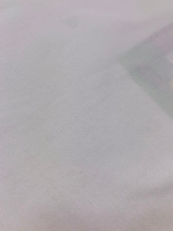 【中古品】【メンズ】 APPLEBUM アップルバム 18SS DOGGYSTYLE SS TEE WHITE ドギースタイル 半袖カットソー ストリート ヘビーウェイト 142-260822-su-03-tagh サイズ：XL カラー：ホワイト 万代Net店