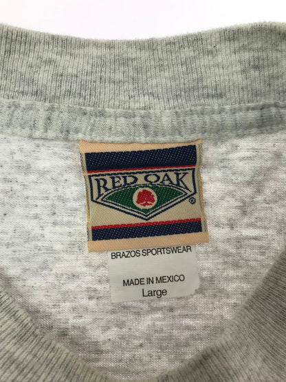 【現状渡し品】【メンズ】 RED OAK レッド オーク c1997 FLORIDA MARLINS CHAMPIONS T-SHIRT フロリダ マーリンズ チャンピオン Tシャツ メキシコ製 トップス 146-260807-rt-14-tagh サイズ：L カラー：グレー 万代Net店