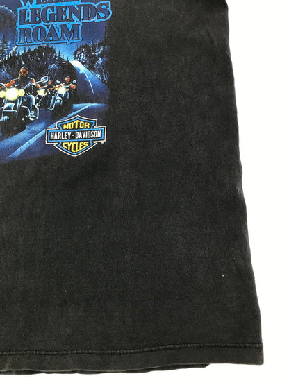 【中古品】【メンズ】 HARLEY-DAVIDSON ハーレー ダビッドソン 90's BIKE&WOLF PRINT S/S TEE 90年代 バイク＆ウルフ プリント Tシャツ トップス 146-260825-rt-01-tagh サイズ：XL カラー：ブラック 万代Net店
