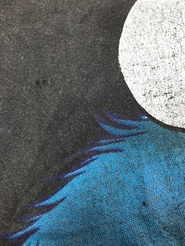 【現状渡し品】【メンズ】 SESAME STREET セサミ ストリート 90's REDWOOD BODY COOKIE MONSTER BLACKOUT MOTIF TEE ショートスリーブTシャツ トップス 146-261002-rt-02-tagh サイズ：M カラー：ブラック 万代Net店
