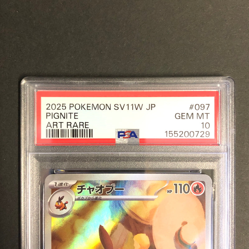 【中古品】 ポケモンカード PSA鑑定品 10 チャオブー AR 097/086 トレーディングカード トレカ 072-260910-AS-2-hon 万代Net店