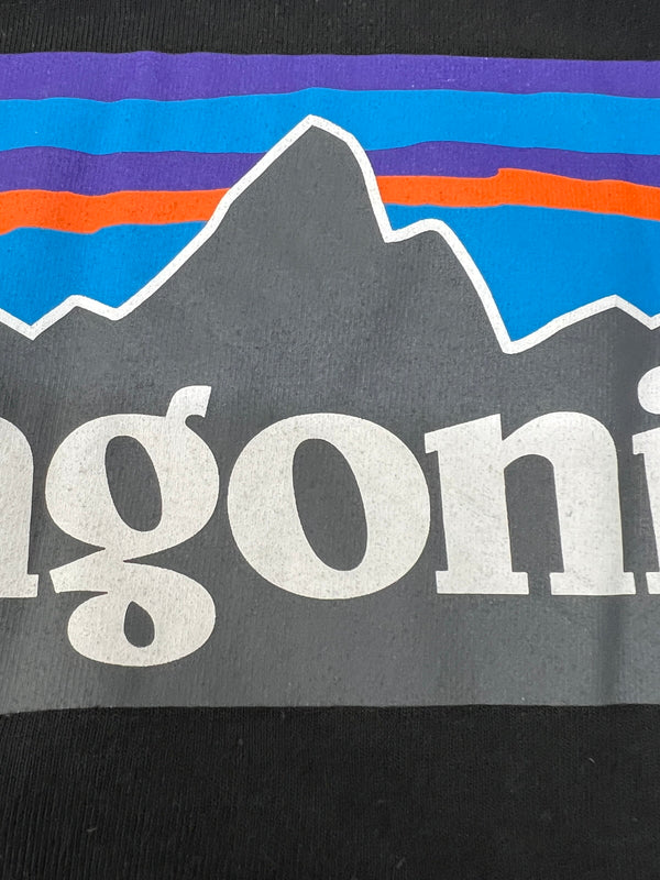 【中古品】【メンズ】 patagonia パタゴニア Long-Sleeved P-6 Logo Responsibili-Tee STY39161 ロングスリーブ P-6 ロゴ レスポンシビリティー トップス 144-260808-SH-17-hon サイズ：L カラー：ブラック 万代Net店