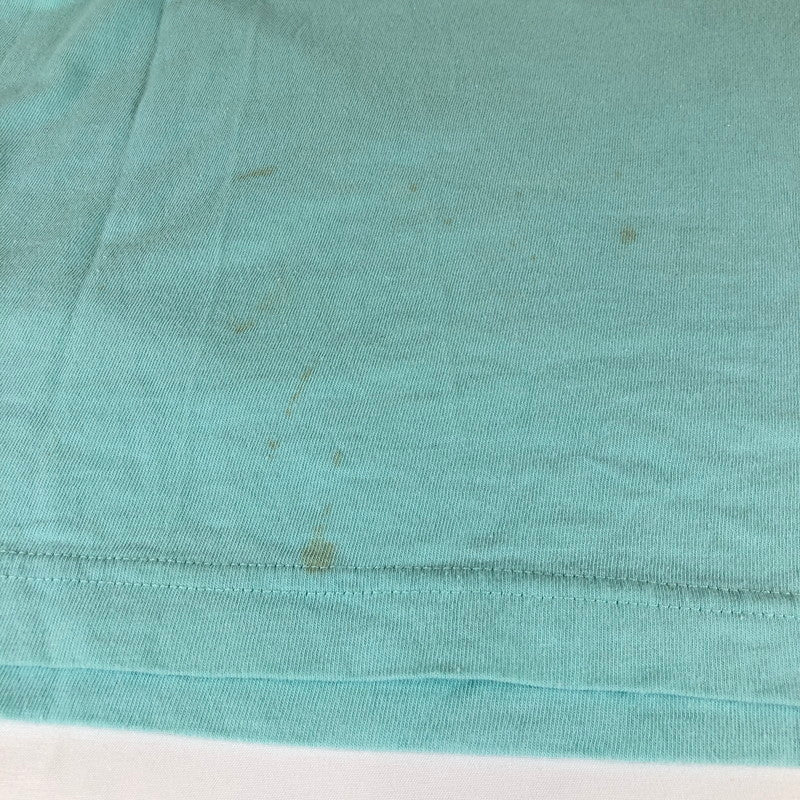 【中古品】【メンズ】 Champion チャンピオン ワンポイント刺繍ロゴ Tシャツ ミントグリーン ターコイズ 147-260618-sm-04-otoh カラー：ミントグリーン 万代Net店