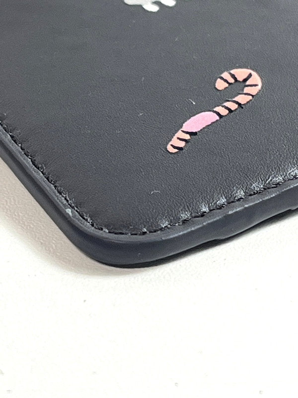 【中古美品】【レディース】 未使用 ロエベ LOEWE コインカードホルダー マンドラゴラ スナフジタ 保存袋有り 183-250923-SS-02-ich 万代Net店