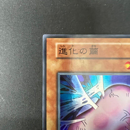 【中古品】 遊戯王 進化の繭 スーパーレア 番号無し シングルカードトレーディングカード 068-260725-SH-02-hon 万代Net店