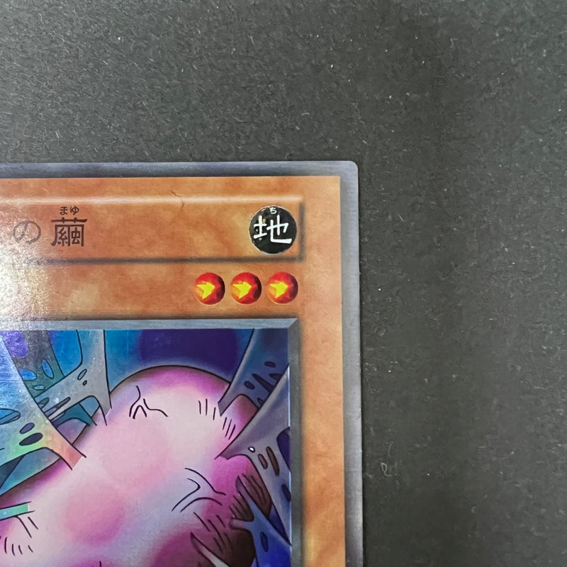 【中古品】 遊戯王 進化の繭 スーパーレア 番号無し シングルカードトレーディングカード 068-260725-SH-02-hon 万代Net店