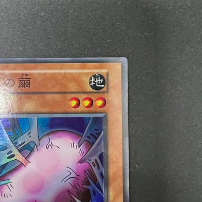 【中古品】 遊戯王 進化の繭 スーパーレア 番号無し シングルカードトレーディングカード 068-260725-SH-02-hon 万代Net店