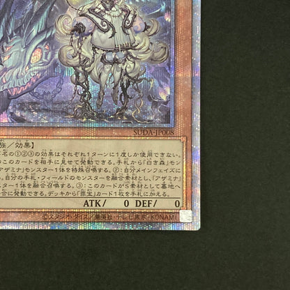 【中古品】 遊戯王OCGデュエルモンスターズ 白き森の聖徒リゼット QCSE クォーターセンチュリーシークレット 25th SUDA-JP008QSE トレーディングカード 068-260628-kk-29-hon 万代Net店