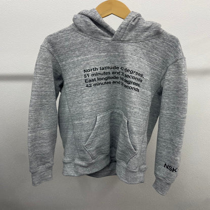 【中古美品】【メンズ】 THE NORTH FACE ザ・ノースフェイス NT61903R NISEKO SOUVENIR HOODIE ニセコ スーベニア パーカー 144-241112-NK-4-yok サイズ：S カラー：グレー系 万代Net店