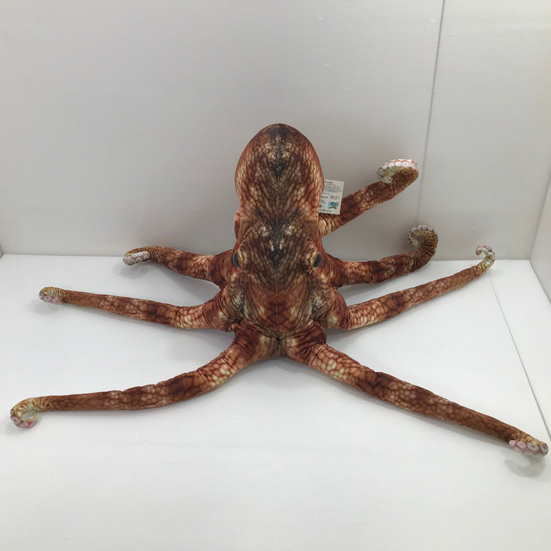 【中古美品】 さかなクン おさかなぬいぐるみ マダコちゃん 038-260428-ti-01-tag 万代Net店