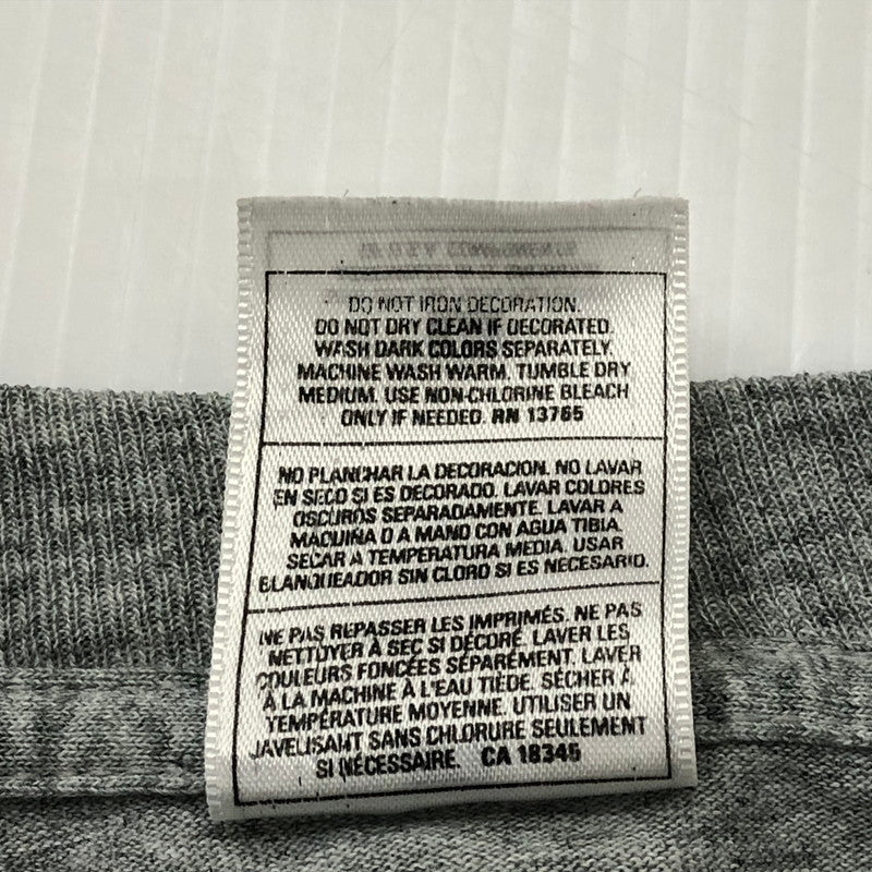 【中古品】【メンズ】  フルーツオブザルーム FRUIT OF THE LOOM 00’S～90’S WILDCAT BAND TEE ワイルド キャット バンド Tシャツ トップス 145-240610-rk-2-tei サイズ：M カラー：グレー 万代Net店