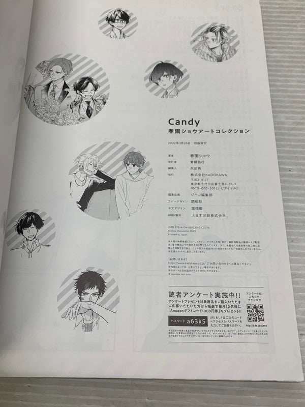 【中古品】 Candy - 春園ショウアートコレクション 005-250723-AS-12-min 万代Net店