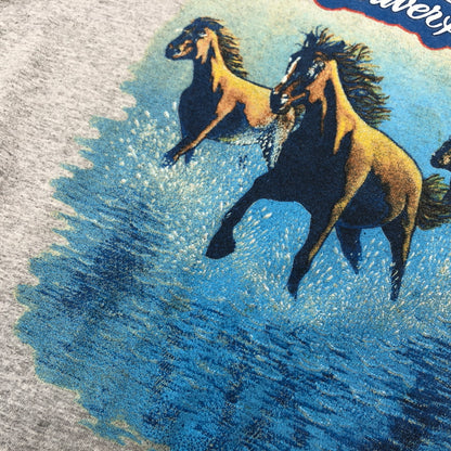 【中古品】【メンズ】 HANES ヘインズ BOB SEGER&THE SILVER BULLET AGAINST THE WIND PRINT S/S TEE 半袖プリントTシャツ トップス 146-260829-hn-06-fur サイズ：XL カラー：グレー 万代Net店
