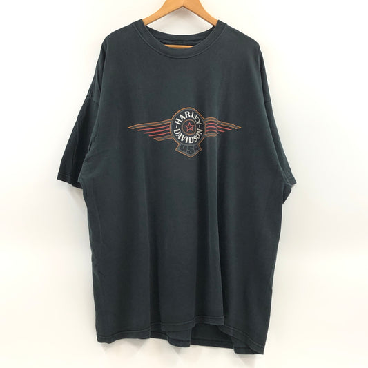 【現状渡し品】【メンズ】 HARLEY-DAVIDSON ハーレーダビッドソン × HANES BEEFY ヘインズビーフィー c2001 00S AMSTERDAM DEALER TEE 半袖Tシャツ トップス 146-260621-hn-09-fur サイズ：3XL カラー：ブラック 万代Net店