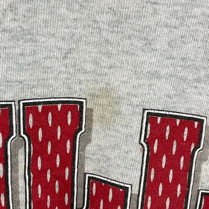【中古品】【メンズ】 フルーツオブザルーム "CHICAGO BULLS"USEDスウェット 147-260329-SS-05-iwa サイズ：L カラー：グレー 万代Net店