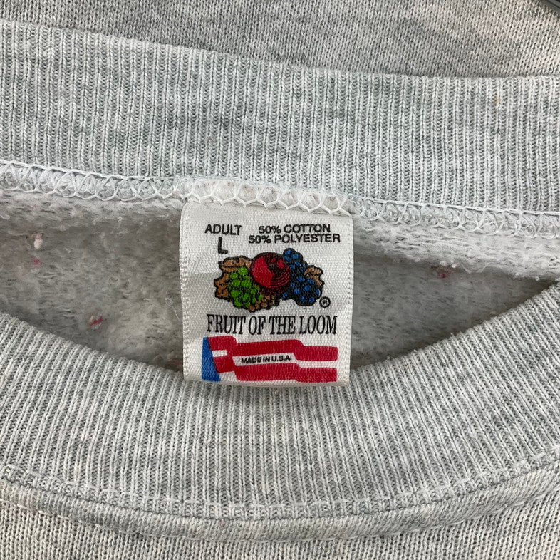 【中古品】【メンズ】 フルーツオブザルーム "CHICAGO BULLS"USEDスウェット 147-260329-SS-05-iwa サイズ：L カラー：グレー 万代Net店