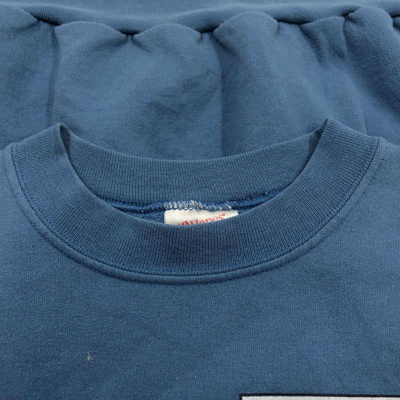 【現状渡し品】【メンズ】 HANES ヘインズ "ALASKA" PRINT SWEATSHIRT アラスカ プリント スウェットシャツ トレーナー トップス 146-260713-hn-03-fur サイズ：L カラー：ブルー系 万代Net店