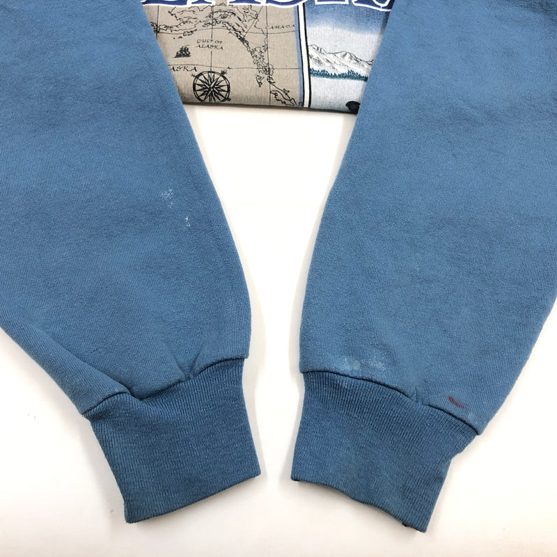 【現状渡し品】【メンズ】 HANES ヘインズ "ALASKA" PRINT SWEATSHIRT アラスカ プリント スウェットシャツ トレーナー トップス 146-260713-hn-03-fur サイズ：L カラー：ブルー系 万代Net店