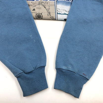 【現状渡し品】【メンズ】 HANES ヘインズ "ALASKA" PRINT SWEATSHIRT アラスカ プリント スウェットシャツ トレーナー トップス 146-260713-hn-03-fur サイズ：L カラー：ブルー系 万代Net店