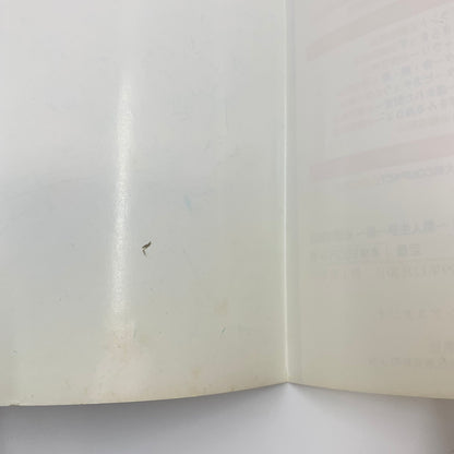 【現状渡し品】 爆走デコトラ伝説2~男人生夢一路~必勝攻略法 ゲーム 024-250919-mo-13-fur 万代Net店