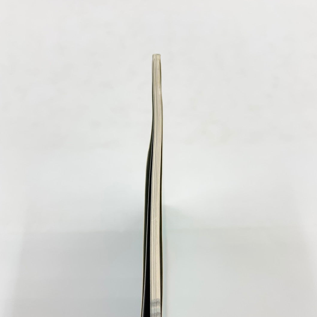 【現状渡し品】 爆走デコトラ伝説2~男人生夢一路~必勝攻略法 ゲーム 024-250919-mo-13-fur 万代Net店