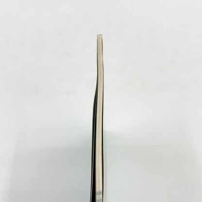 【現状渡し品】 爆走デコトラ伝説2~男人生夢一路~必勝攻略法 ゲーム 024-250919-mo-13-fur 万代Net店