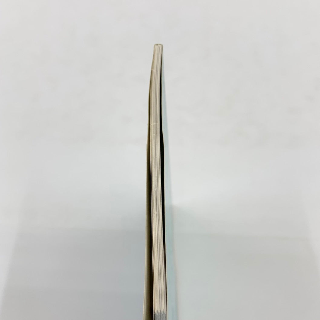 【現状渡し品】 爆走デコトラ伝説2~男人生夢一路~必勝攻略法 ゲーム 024-250919-mo-13-fur 万代Net店