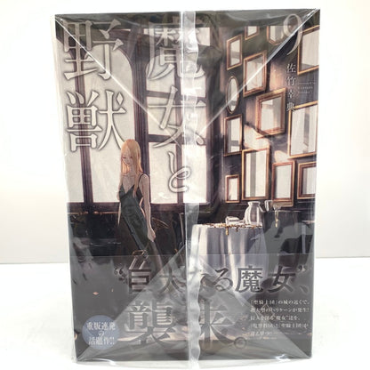 【中古品】 魔女と野獣 10巻セット 004-250924-mo-08-fur 万代Net店