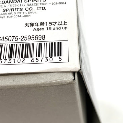 【未使用品】 1/100 MG MVF-X08R2 エクリプスガンダム2号機 058-260805-ma-05-fur 万代Net店