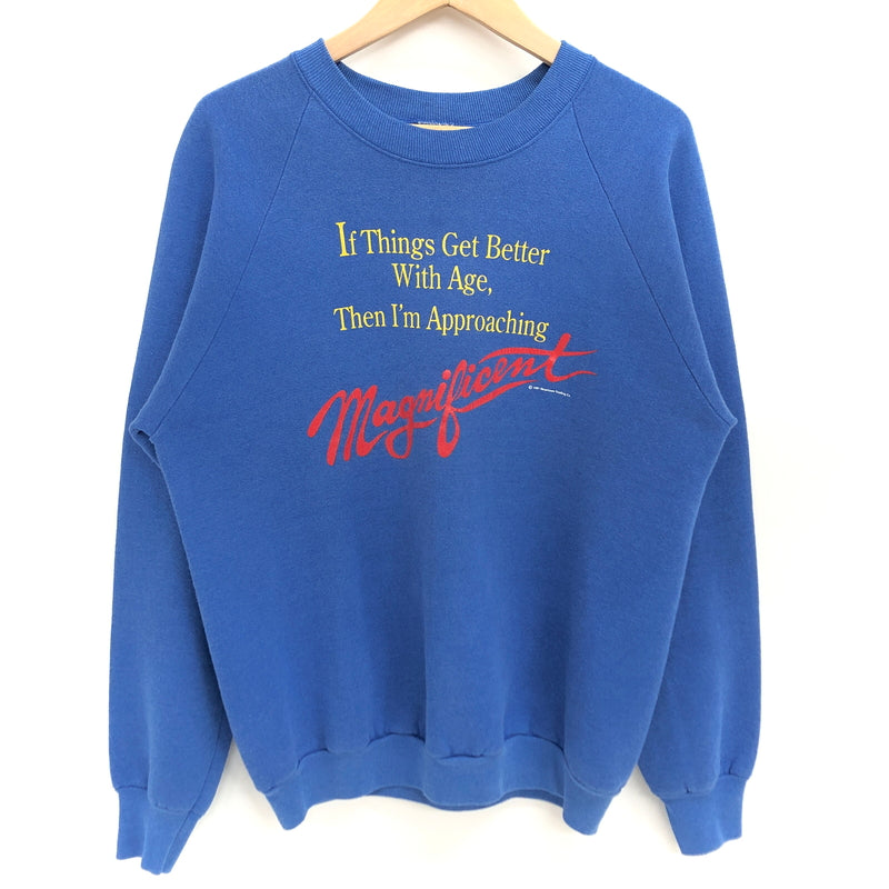 【現状渡し品】【メンズ】 FRUITS OF THE LOOM フルーツオブザルーム 90S PRINT SWEATSHIRT スウェット トレーナー 長袖 トップス 古着 ヴィンテージ 146-260615-rs-02-fur サイズ：L カラー：ブルー 万代Net店