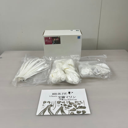 【現状渡し品】 ホロライブ 1/5スケール 宝鐘マリン ガレージキット 未塗装未組立フィギュア 原型：タカトリ VTuber 053-260209-AS-3-min 万代Net店