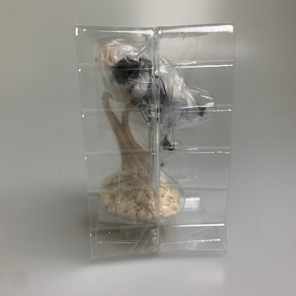 【中古品】 一番くじ 進撃の巨人　地鳴らし　B賞　リヴァイ　俺達が夢見た世界 フィギュア 052-260713-hu-10-min 万代Net店